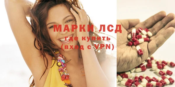 дурь Гатчина
