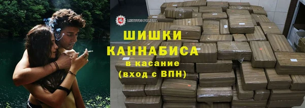 прущие грибы Покров