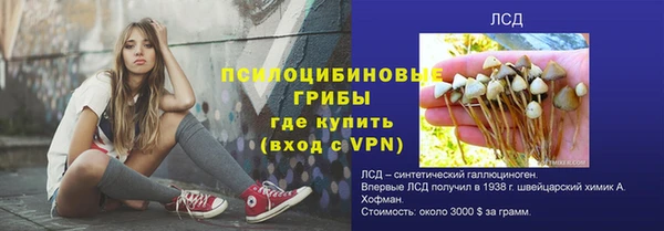 прущие грибы Покров