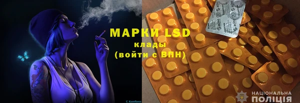 прущие грибы Покров