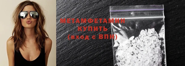 прущие грибы Покров