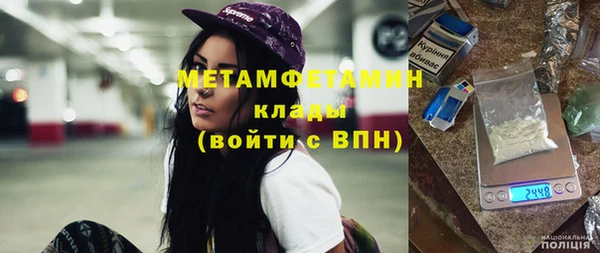 прущие грибы Покров