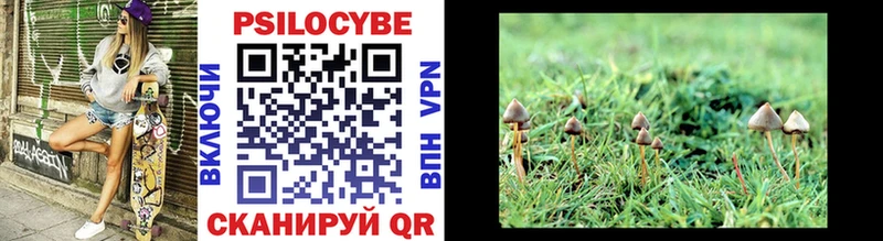 наркота Шенкурск Галлюциногенные грибы Magic Shrooms